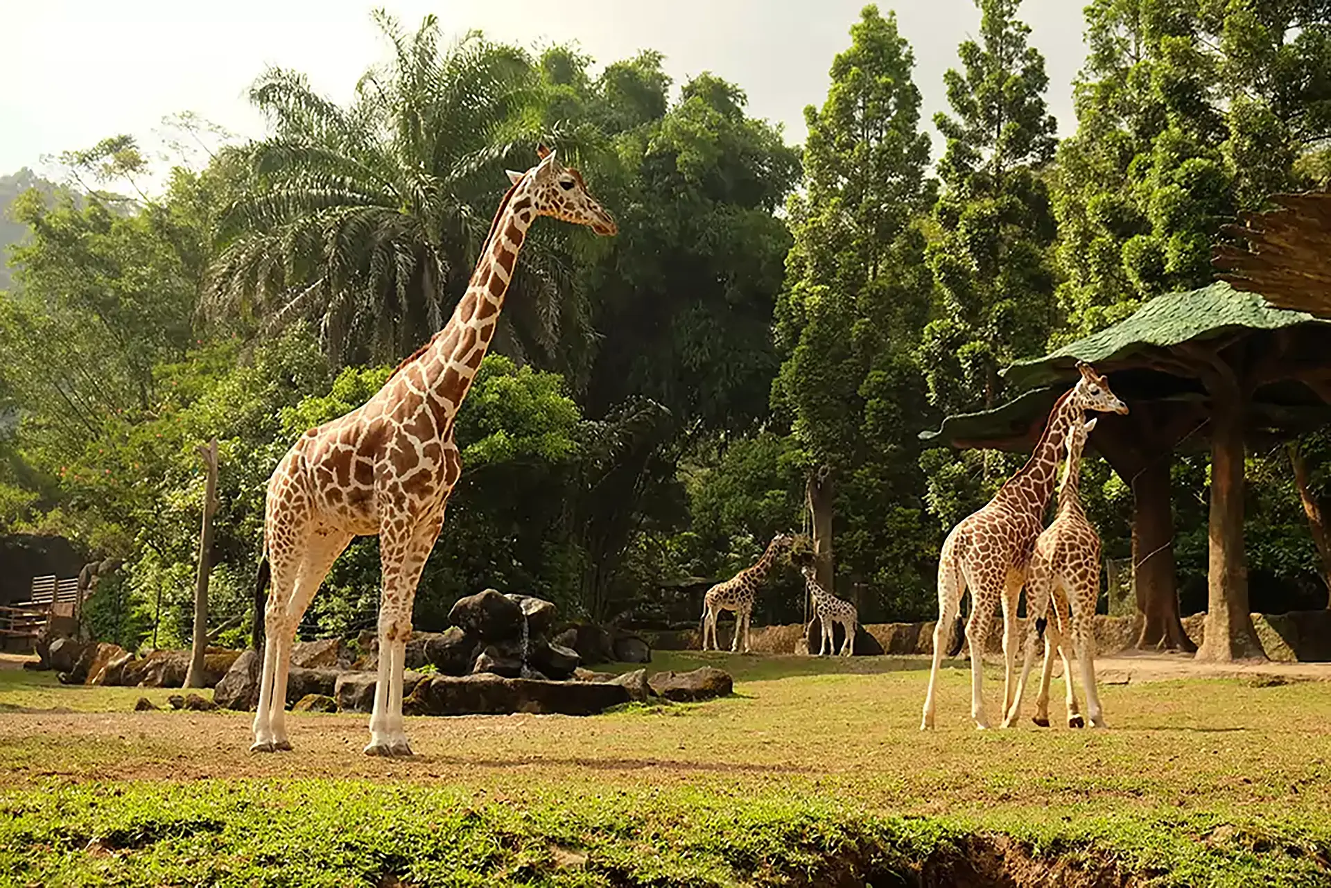 5 Wisata Keluarga di Bogor yang Seru dan Edukatif